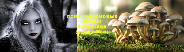 прущая мука Абинск