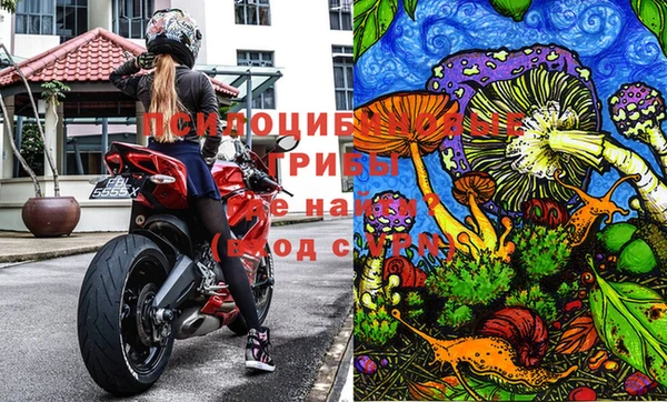 ГАЛЛЮЦИНОГЕННЫЕ ГРИБЫ Абаза