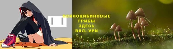 ГАЛЛЮЦИНОГЕННЫЕ ГРИБЫ Абаза
