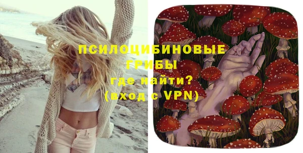 ГАЛЛЮЦИНОГЕННЫЕ ГРИБЫ Абаза