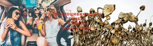 ГАЛЛЮЦИНОГЕННЫЕ ГРИБЫ Абаза