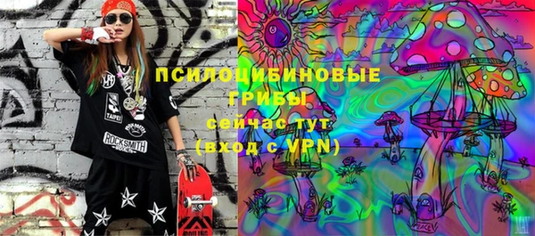 ГАЛЛЮЦИНОГЕННЫЕ ГРИБЫ Абаза