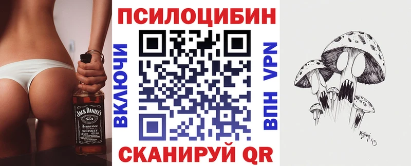 купить закладку  Сорочинск  Галлюциногенные грибы Psilocybe 
